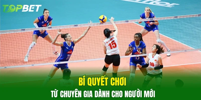 Bí quyết chơi từ chuyên gia dành cho người mới