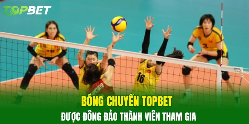 Bóng chuyền TOPBET được đông đảo thành viên tham gia