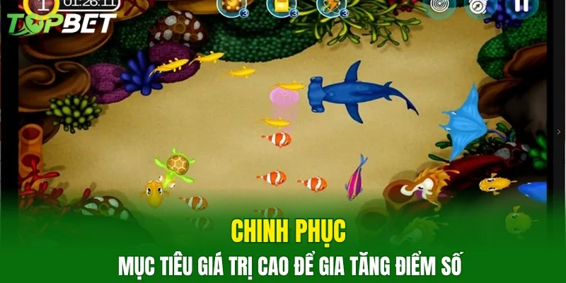 Chinh phục mục tiêu giá trị cao để gia tăng điểm số