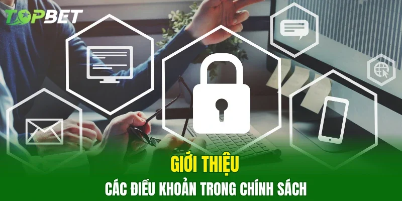 Giới thiệu các điều khoản trong chính sách