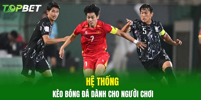 Hệ thống kèo bóng đá dành cho người chơi