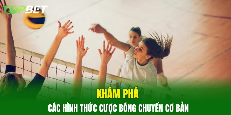 Khám phá các hình thức cược bóng chuyền cơ bản