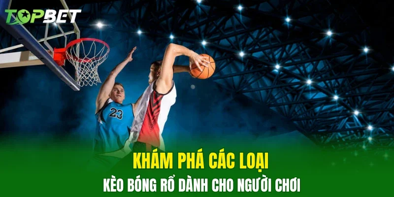 Khám phá các loại kèo bóng rổ dành cho người chơi