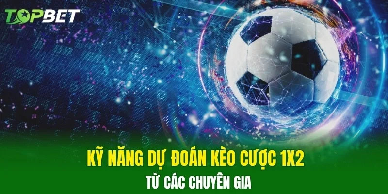 Kỹ năng dự đoán kèo cược 1X2 từ các chuyên gia