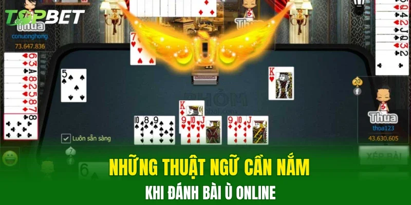 Những thuật ngữ cần nắm khi đánh bài Ù online