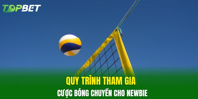 Quy trình tham gia cược bóng chuyền cho newbie