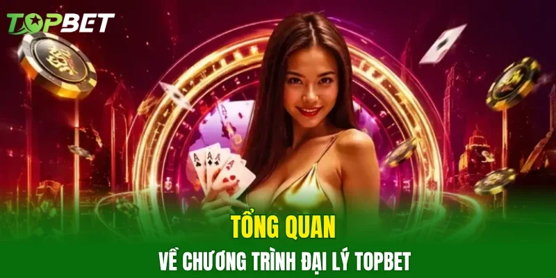 Tổng quan về chương trình đại lý TOPBET